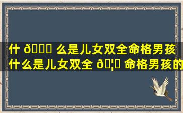 什 🐈 么是儿女双全命格男孩（什么是儿女双全 🦄 命格男孩的特征）